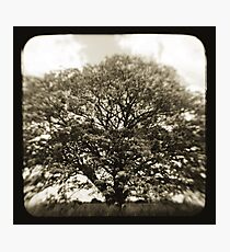 1856 Photographic Print