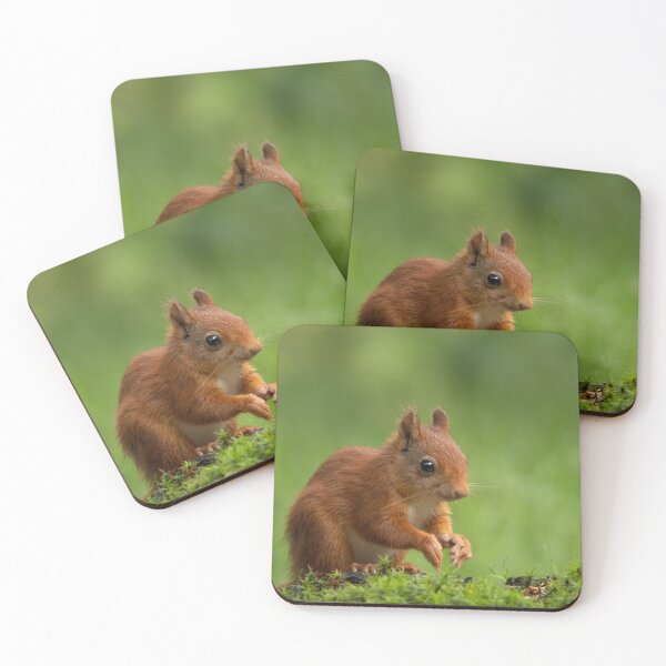 Item preview, baby squirrel designed and sold by Nicole W..