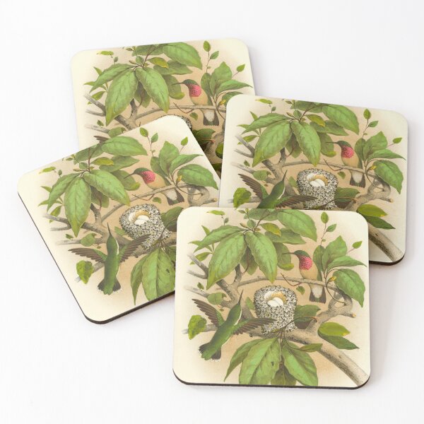 Item preview, Ruby-throated Hummingbird designed and sold by Lloyd Library & Museum.