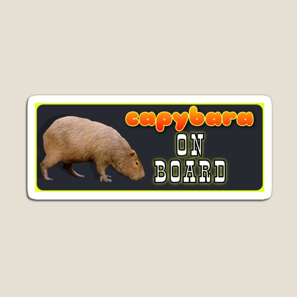 Capybara on Board / funny bumper sticker / car sticker Magnet for Sale by  romanticists