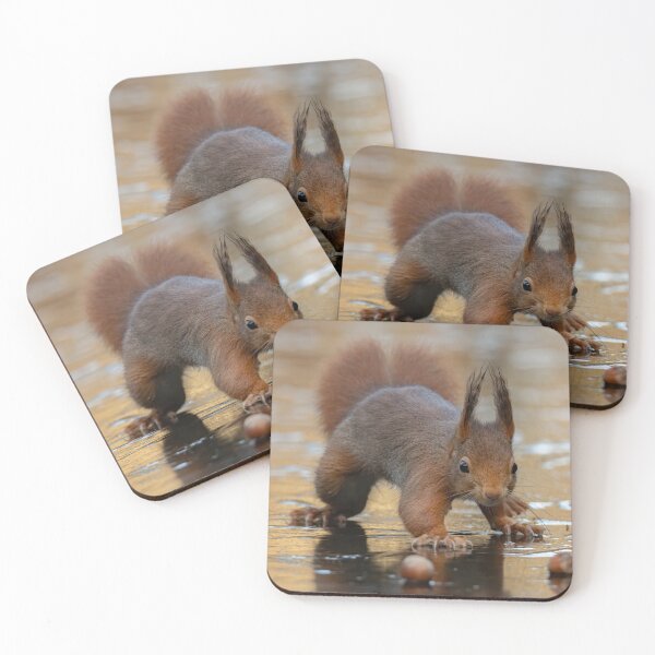 Item preview, red squirrel on ice designed and sold by Nicole W..