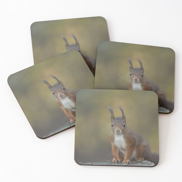 Item preview, red squirrel designed and sold by Nicole W..