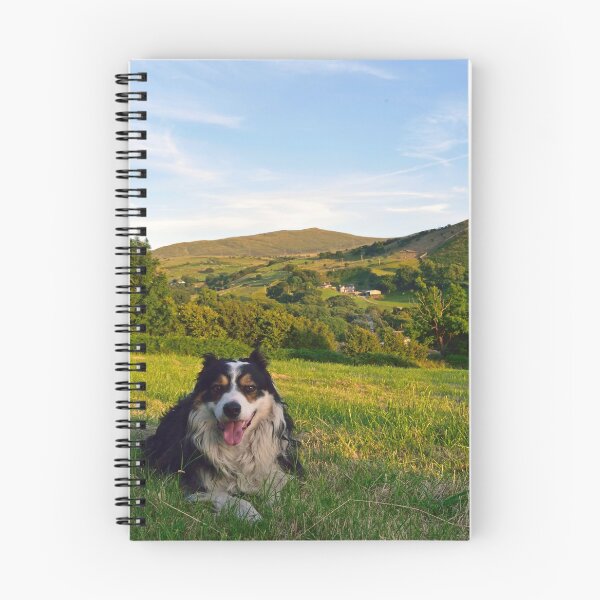 Item preview, Laddie Land designed and sold by Michael Haslam.