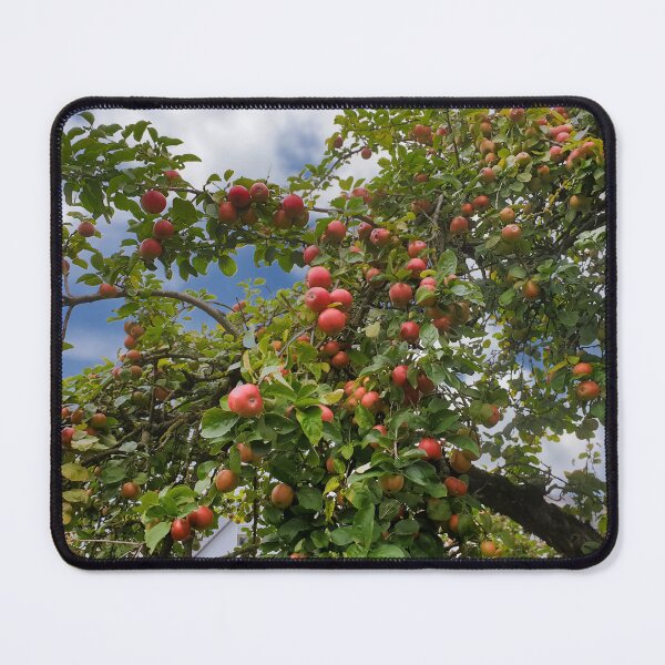 Item preview, Apple tree in late summer - lots of red apples designed and sold by Fashion through the ages.