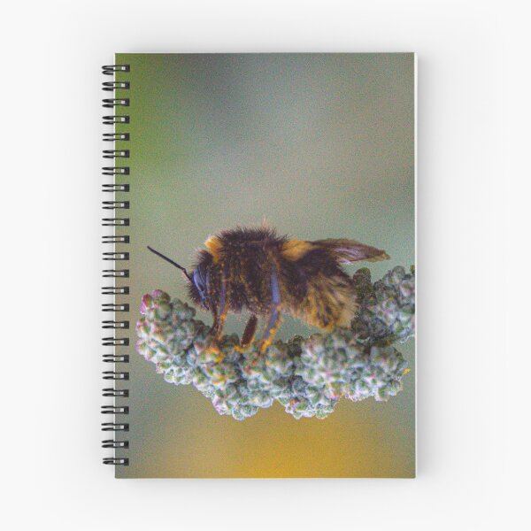 Item preview, Buff Tailed Bumblebee designed and sold by N-JPhotography.