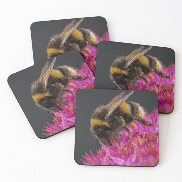 Item preview, Close up Bee designed and sold by N-JPhotography.