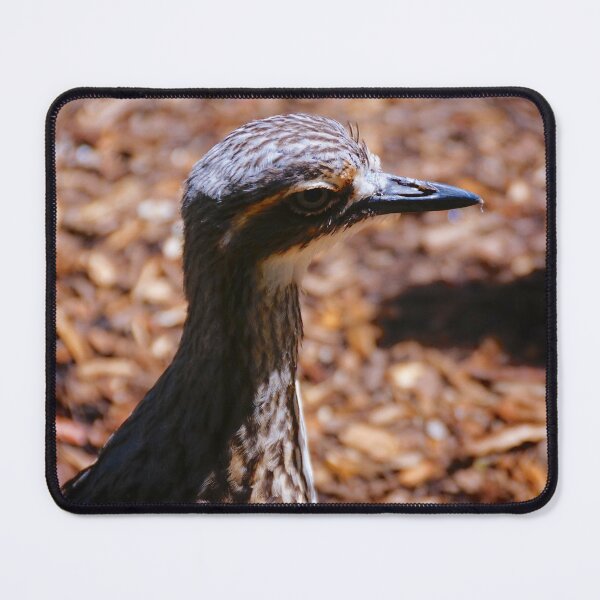 Item preview, Bush Stone-Curlew  designed and sold by D-GaP.