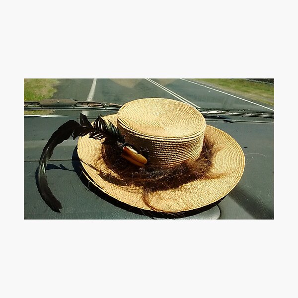 Bow & Curtsy On The Road Photographic Print