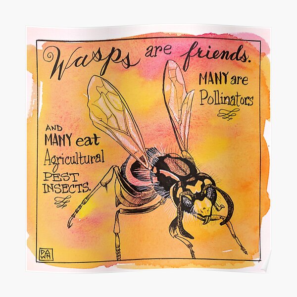 Wasps are friends Poster