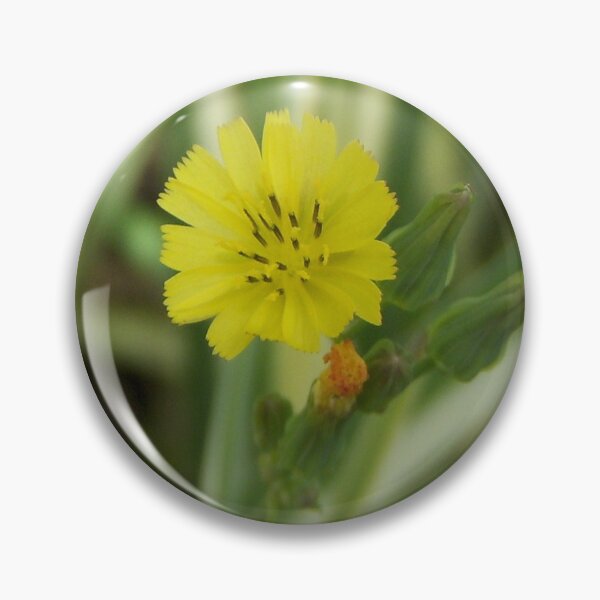 Item preview, Tiny Yellow designed and sold by Rebekah  McLeod.