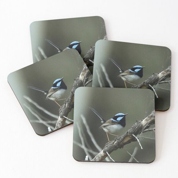 Item preview, Superb Fairy Wren  designed and sold by AtRTPhotos.