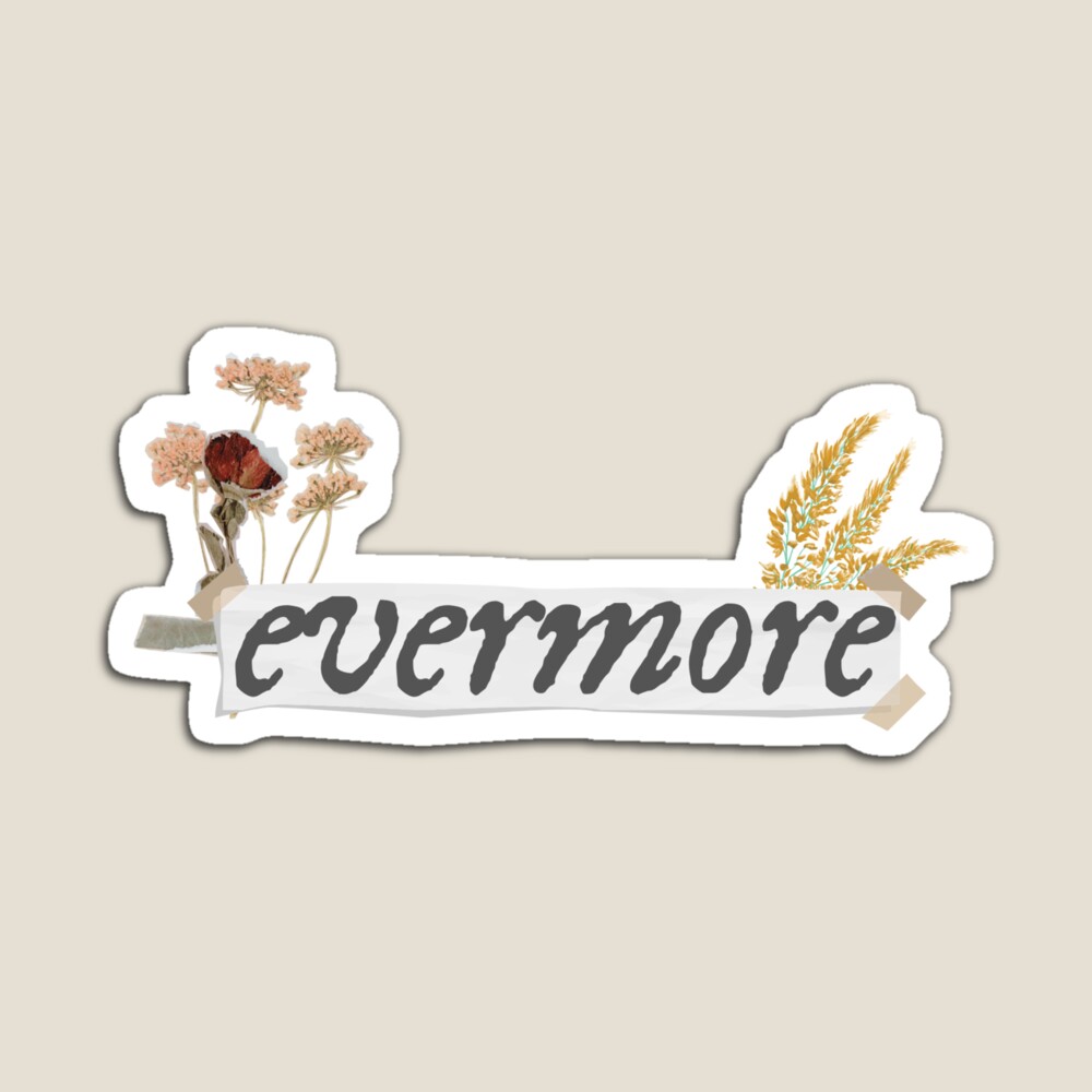 Taylor Swift Evermore Silhouette Magnet – MDStickerShop