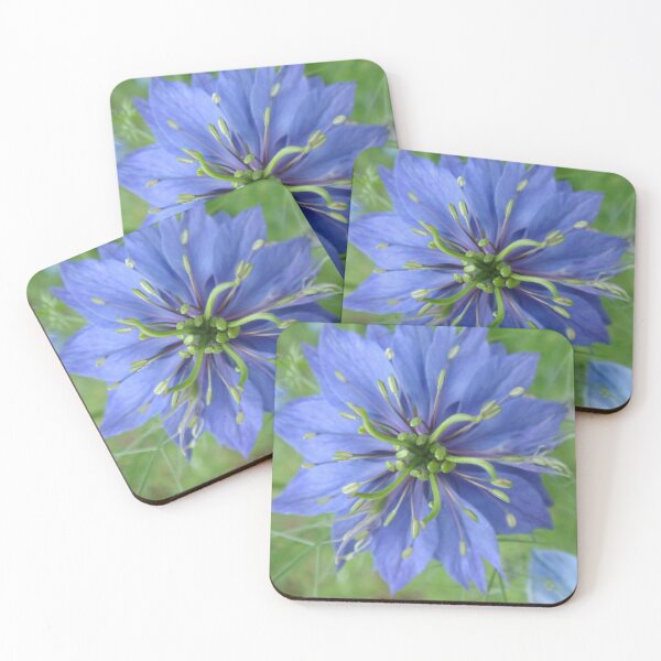 Item preview, Blue Nigelia - Maiden in the Green - macro // designed and sold by Lillrose.
