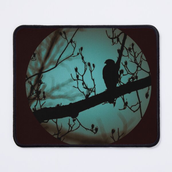 Item preview, Cooper's Hawk silhouette  designed and sold by kimberliedewey.