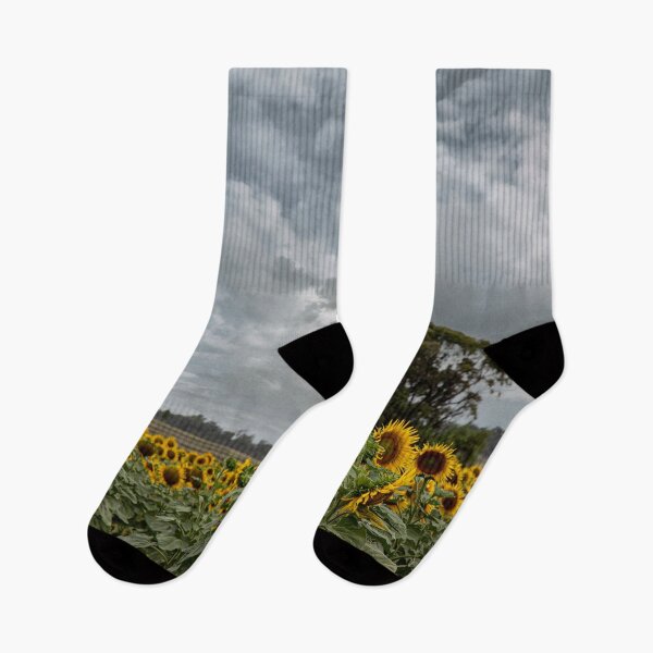 Item preview, Sunflower Field designed and sold by Marylou Badeaux.