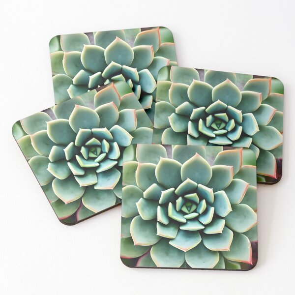 Item preview, Succulent plant artwork designed and sold by gramizzia.