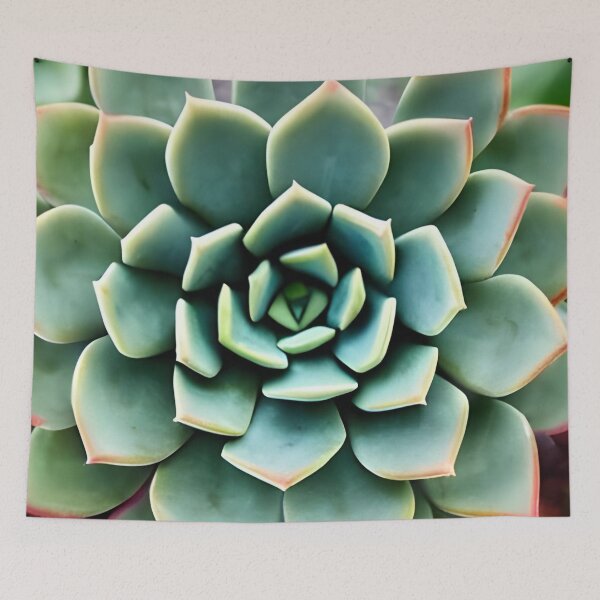 Aperçu de l'œuvre Oeuvre de plantes succulentes créée et vendue par gramizzia.