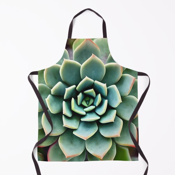 Aperçu de l'œuvre Oeuvre de plantes succulentes créée et vendue par gramizzia.
