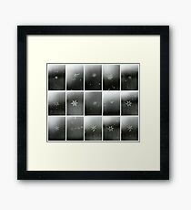 Flakes Framed Print