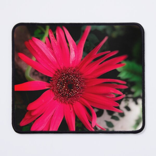 Item preview, Beautiful flower designed and sold by Akashdigiart.