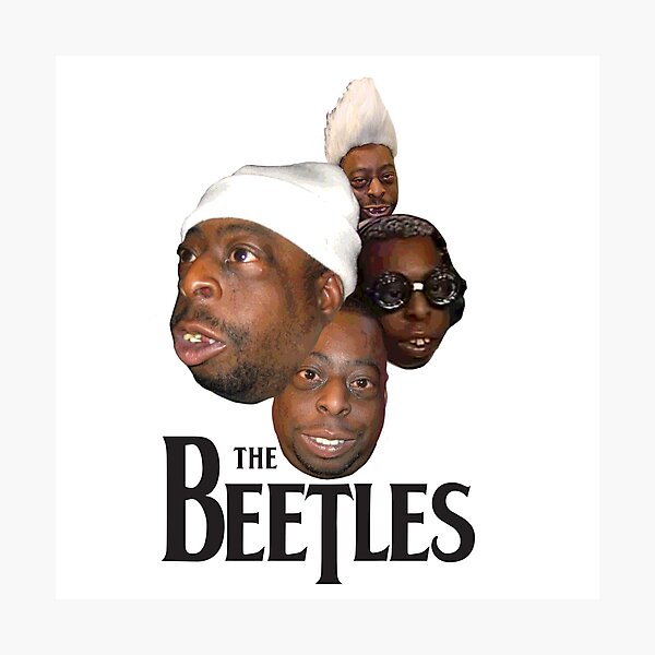 the beetles Photographic Print