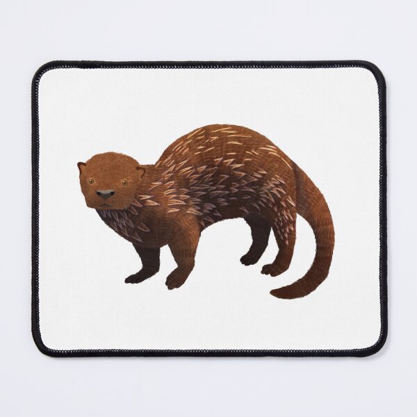 Item preview, Chungungo Sea Otter designed and sold by TheNewAmericana.