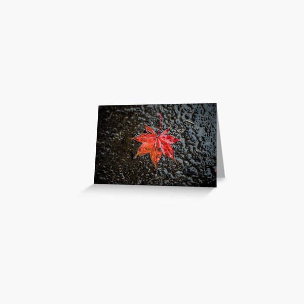 Leaf on Sidewalk Greeting Card