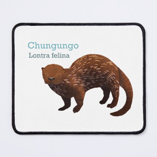 Item preview, Chungungo Sea Otter designed and sold by TheNewAmericana.