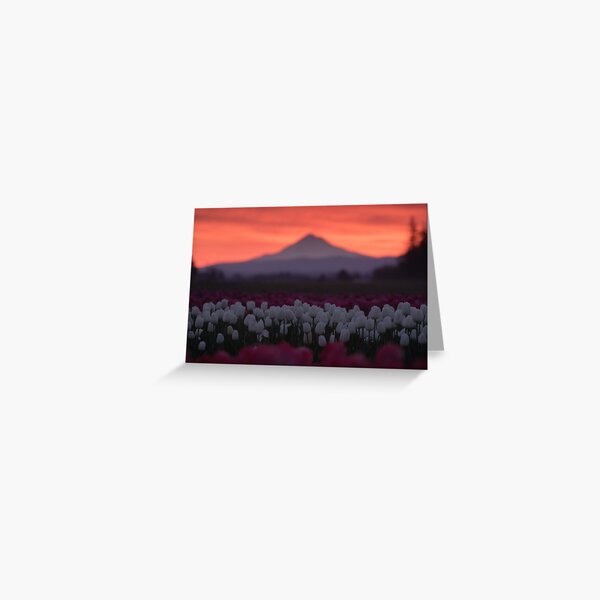 Tulips and Mountain Greeting Card