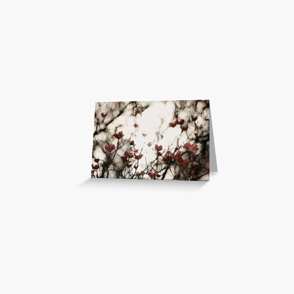Dogwood Blossoms Greeting Card