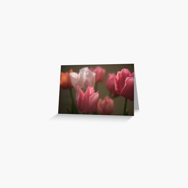 Softly Tulips Greeting Card