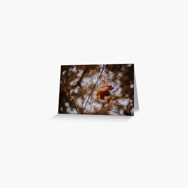 Leaf Holding On Greeting Card