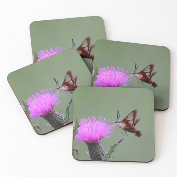 Item preview, Hummingbird Moth    |    Nature designed and sold by RedHandedOD.