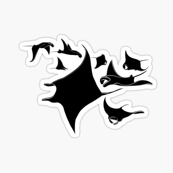 Black Manta Rays Sticker
