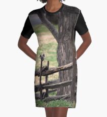 Squirrel Graphic T-Shirt Dress