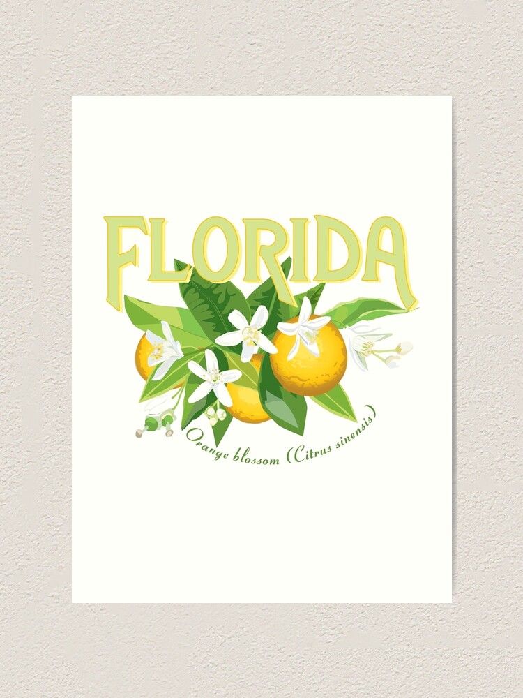 Florida Orange Blossom Art Print