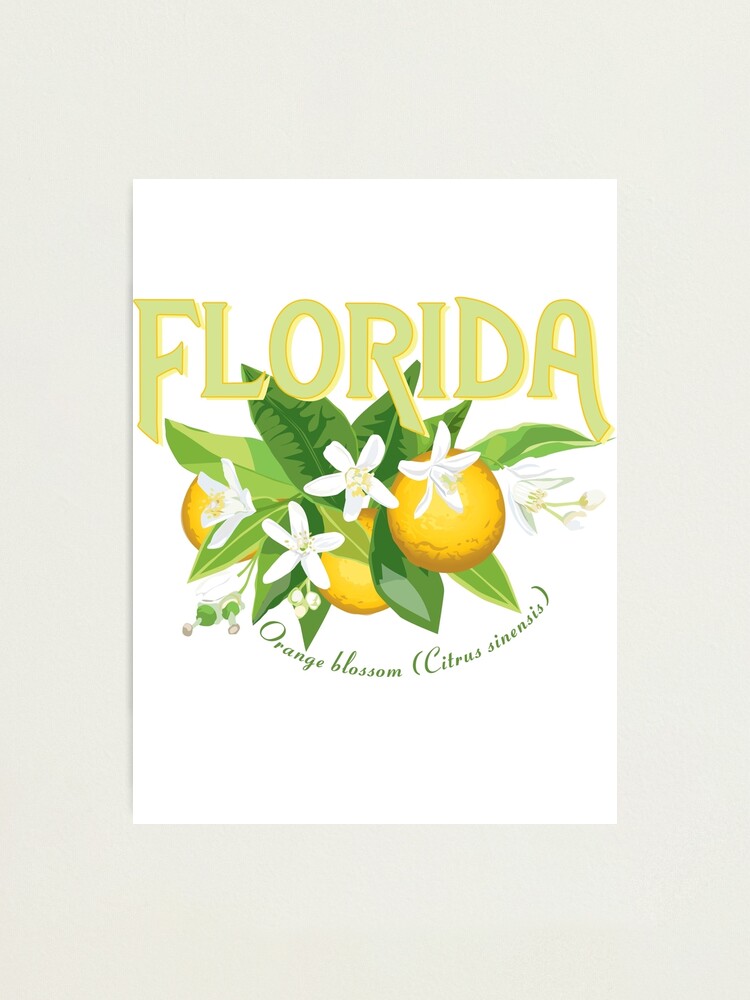"Florida State Flower, Orange Blossom" Photographic Print for Sale by
