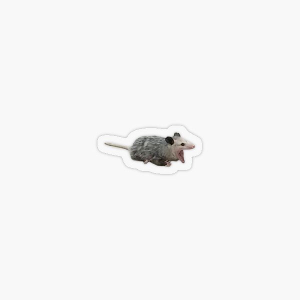 Item preview, Possum screaming meme designed and sold by CreativeDump.