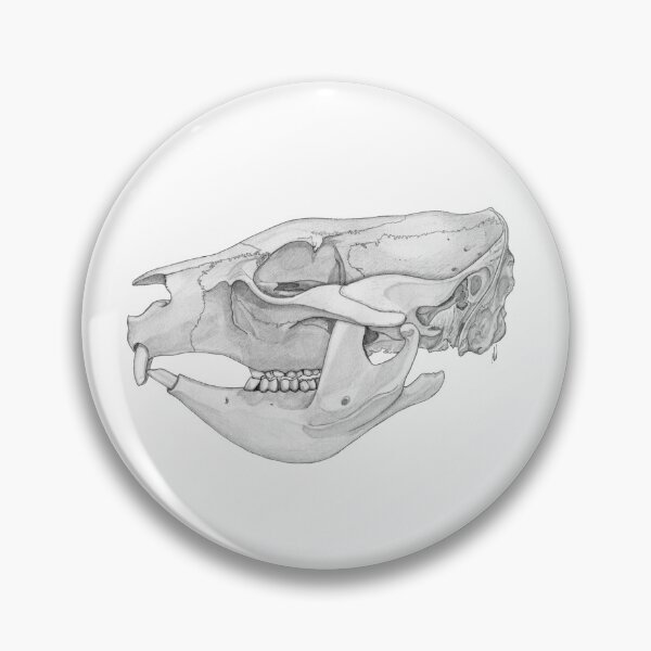 Item preview, Wombat skull designed and sold by GorgeousScience.