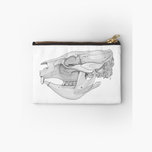 Item preview, Wombat skull designed and sold by GorgeousScience.