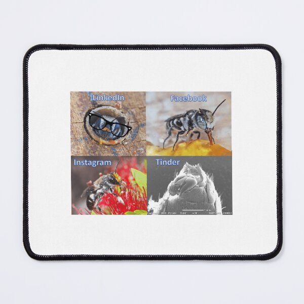 Item preview, Bee Socials designed and sold by BeeBabette.