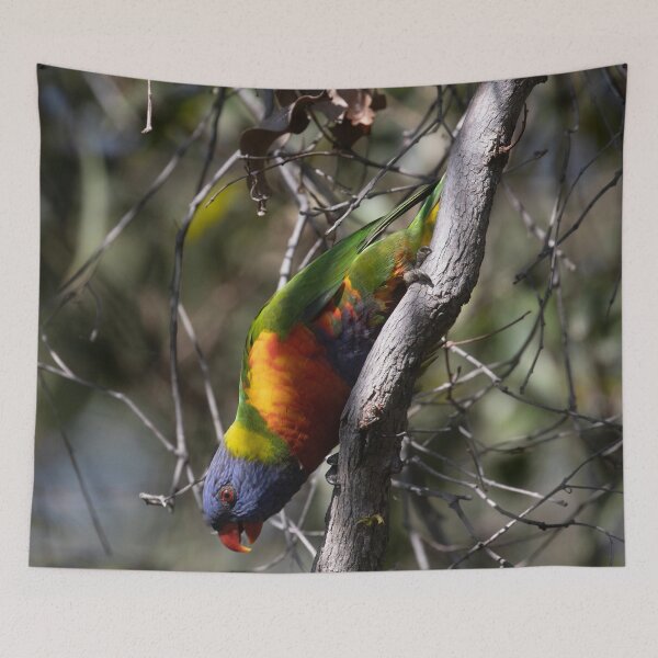 Item preview, Acrobatics designed and sold by Marylou Badeaux.