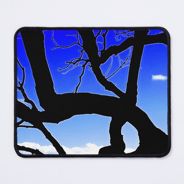 Item preview, Silhouette Tree Branches and Pretty Sky 4 of 8 - Deep Blue and Pale Blue designed and sold by Beachy.