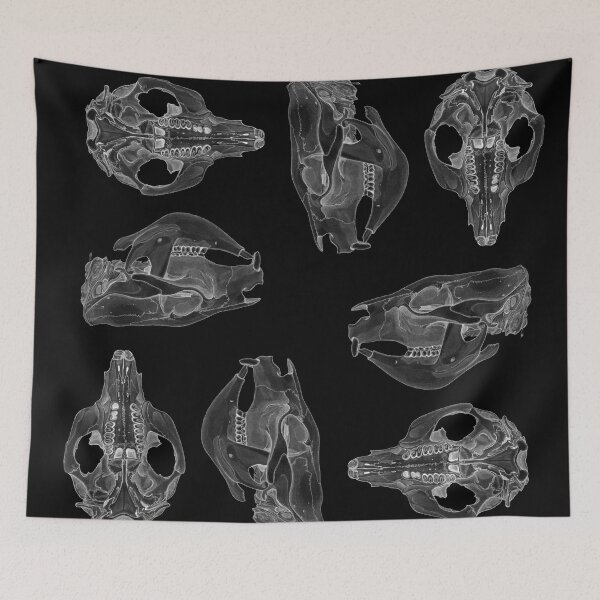 Item preview, Wombat skull black and white designed and sold by GorgeousScience.