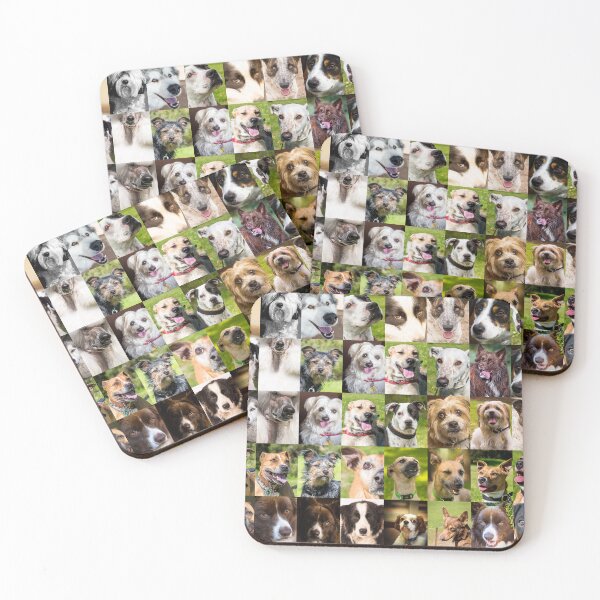 Item preview, 50 Dog faces designed and sold by Images by Chris de Blank.