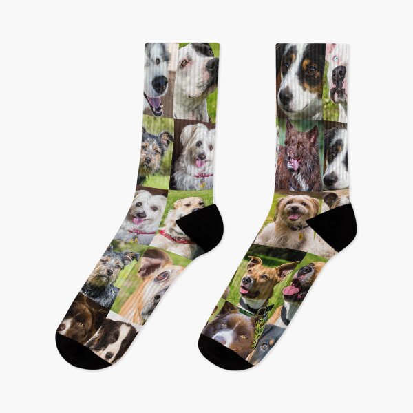 Item preview, 50 Dog faces designed and sold by Images by Chris de Blank.