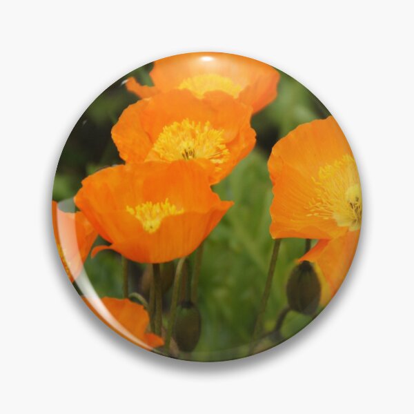 Artikelvorschau, orange Mohnblumen entworfen und verkauft von rogersmith.