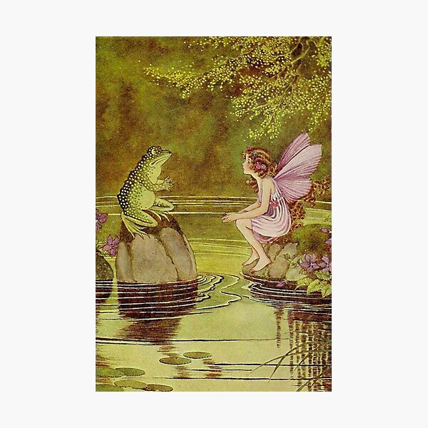 Fairy and The Frog in Fairyland  Photographic Print
