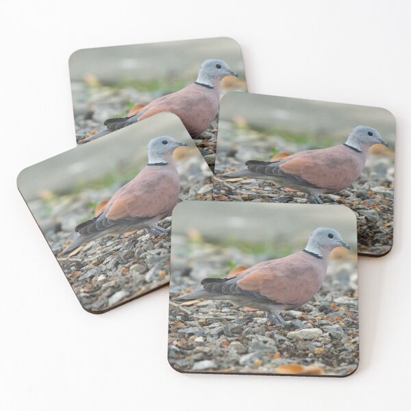 Item preview, Red Collared-Dove designed and sold by hamsambly.