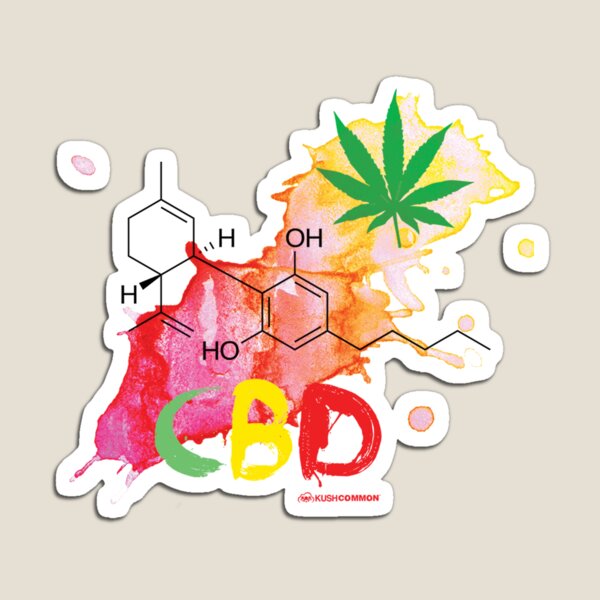 CBD Splash Magnet